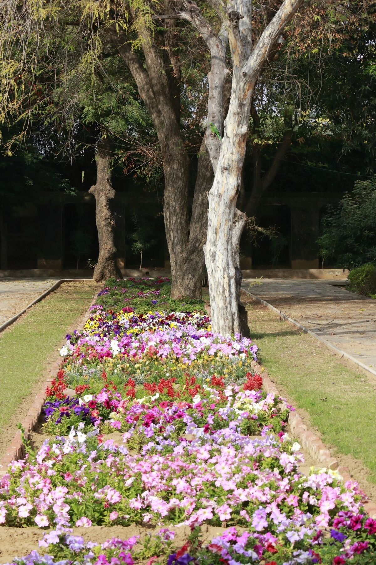 Samode Bagh Ξενοδοχείο Εξωτερικό φωτογραφία